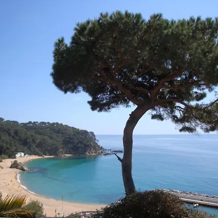 Mar Villa Lloret de Mar